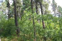 Land in Lawrence County, South Dakota