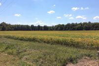 Farm and Ranch in Jefferson County, Illinois