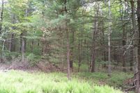 Undeveloped Land in Sullivan County, New York