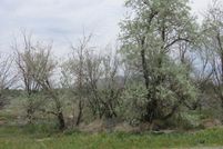 Undeveloped Land in Humboldt County, Nevada