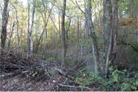 Undeveloped Land in Lumpkin County, Georgia