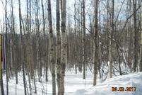 Undeveloped Land in Fairbanks North Star Borough, Alaska