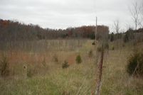 Recreational Property in Polk County, Missouri