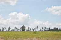 Land in Beauregard Parish, Louisiana