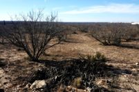 Commercial Property in Reagan County, Texas