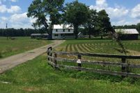 Farm and Ranch in Fauquier County, Virginia
