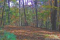 Undeveloped Land in Watauga County, North Carolina