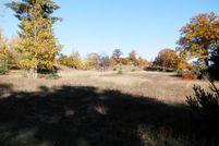 Undeveloped Land in Manistee County, Michigan