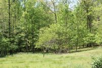 Undeveloped Land in Bedford County, Virginia