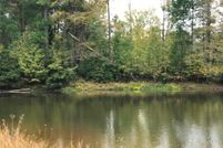 Undeveloped Land in Houston County, Texas