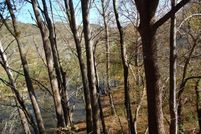 Undeveloped Land in Smyth County, Virginia