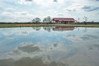 Recreational Property in Bastrop County, Texas