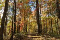 Farm and Ranch in Franklin County, Virginia