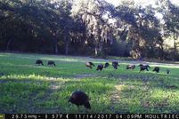 Land in Mitchell County, Georgia