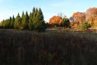 Land in Polk County, Wisconsin
