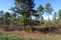 Undeveloped Land in Prince Edward County, Virginia