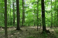 Land in Allegany County, New York