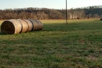 Horse Property in Boone County, Arkansas