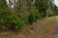 Undeveloped Land in Cass County, Texas