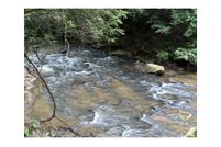 Undeveloped Land in Dawson County, Georgia