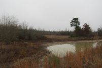 Timberland Property in Camp County, Texas