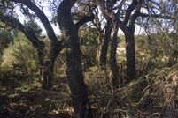 Homesite in Comal County, Texas