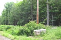 Undeveloped Land in Wayne County, Pennsylvania