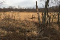 Land in Clark County, Missouri