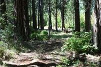 Undeveloped Land in Trinity County, California
