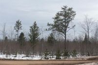 Undeveloped Land in Baraga County, Michigan