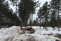 Undeveloped Land in Houghton County, Michigan