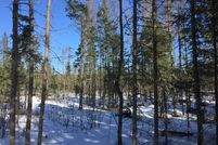 Undeveloped Land in Iron County, Michigan