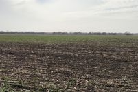 Undeveloped Land in McLennan County, Texas