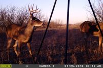 Hunting Property in Clay County, Texas