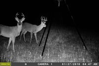 Farm and Ranch in Clay County, Texas