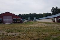 Farm and Ranch in Gilmer County, Georgia
