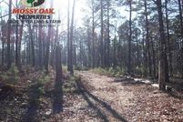 Land in Van Buren County, Arkansas