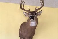 Timberland Property in Monroe County, Indiana