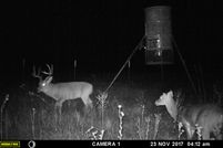 Hunting Property in Clay County, Texas