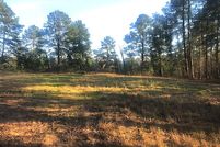 Undeveloped Land in Anderson County, Texas