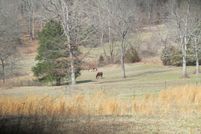 Land in Franklin County, Missouri