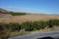 Undeveloped Land in Chelan County, Washington