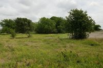 Timberland Property in Nueces County, Texas