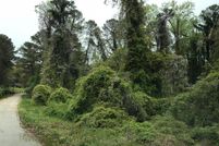 Undeveloped Land in DeKalb County, Georgia