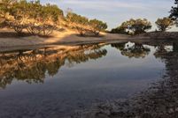 Hunting Property in Kerr County, Texas