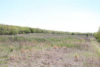 Timberland Property in Sequoyah County, Oklahoma