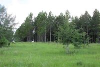 Land in Colquitt County, Georgia