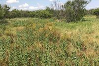 Recreational Property in Archer County, Texas