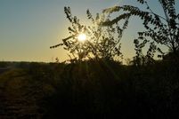 Recreational Property in Archer County, Texas