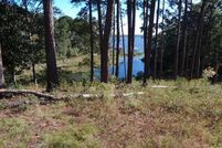 Undeveloped Land in Barbour County, Alabama